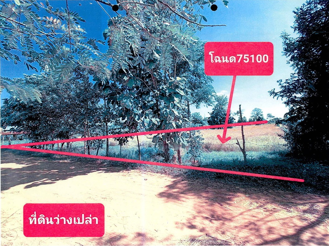 ขายทอดตลาด ที่ดินว่างเปล่า ต.ตาเบา อ.ปราสาท จ.สุรินทร์