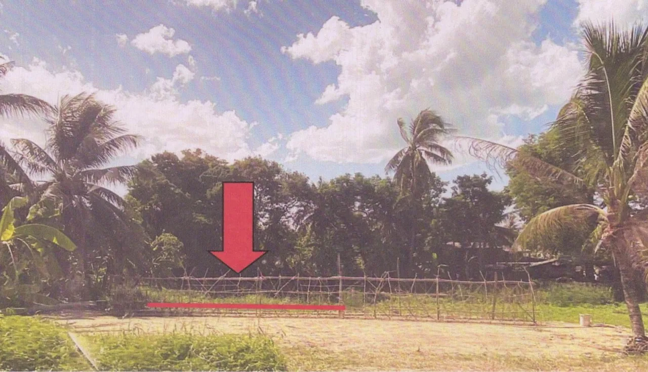 ขายทอดตลาด ที่ดินว่างเปล่า ต.ท่าบอน อ.ระโนด จ.สงขลา