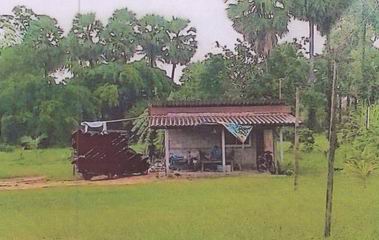 ขายทอดตลาด ที่ดินพร้อมสิ่งปลูกสร้าง ต.ม่วงงาม อ.สิงหนคร จ.สงขลา