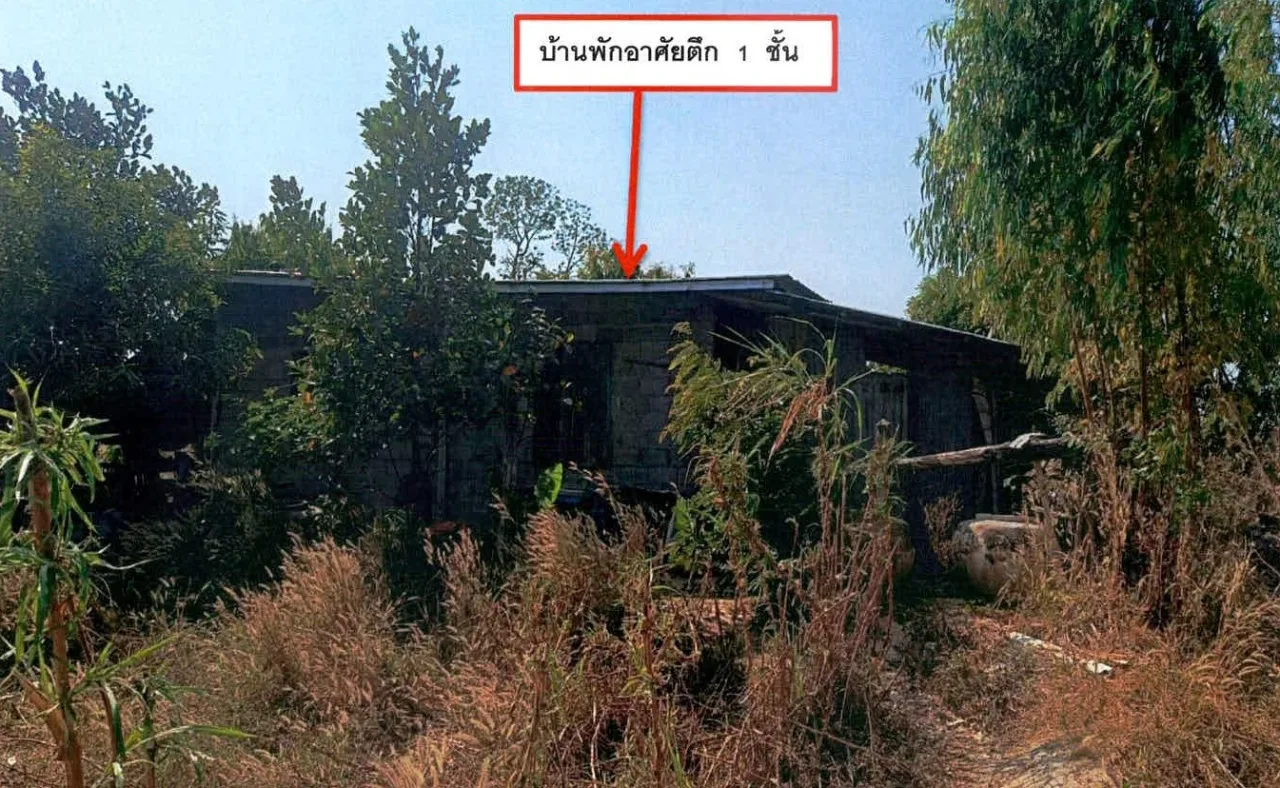 ขายทอดตลาด ที่ดินพร้อมสิ่งปลูกสร้าง ต.จอมพระ อ.จอมพระ จ.สุรินทร์