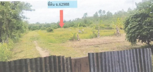 ขายทอดตลาด ที่ดินว่างเปล่า ต.ศรีบัวบาน อ.เมืองลำพูน จ.ลำพูน