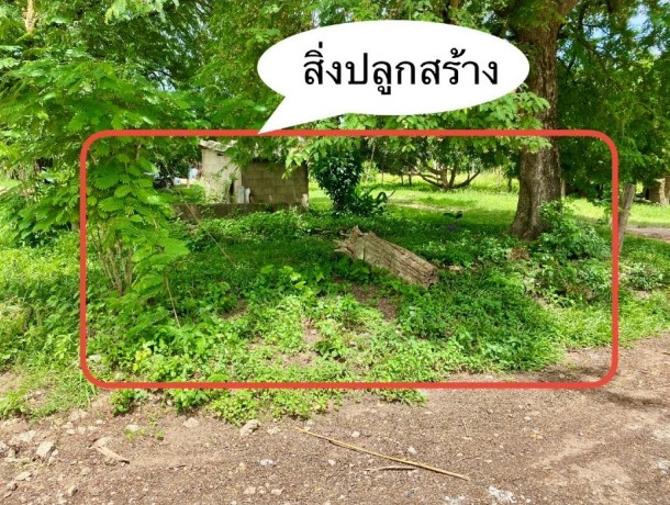 ขายทอดตลาด ที่ดินพร้อมสิ่งปลูกสร้าง ต.นาทราย อ.ลี้ จ.ลำพูน
