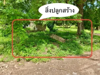 รูปทรัพย์ 1