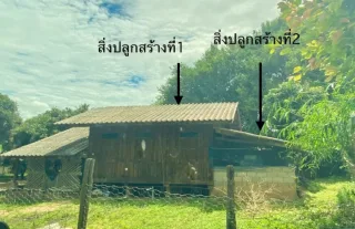 รูปทรัพย์ 2