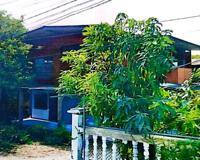 ขายทอดตลาด ที่ดินพร้อมสิ่งปลูกสร้าง ต.บ้านโฮ่ง อ.บ้านโฮ่ง จ.ลำพูน