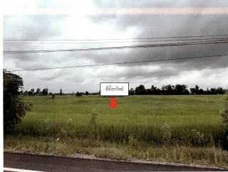 รูปทรัพย์ 2