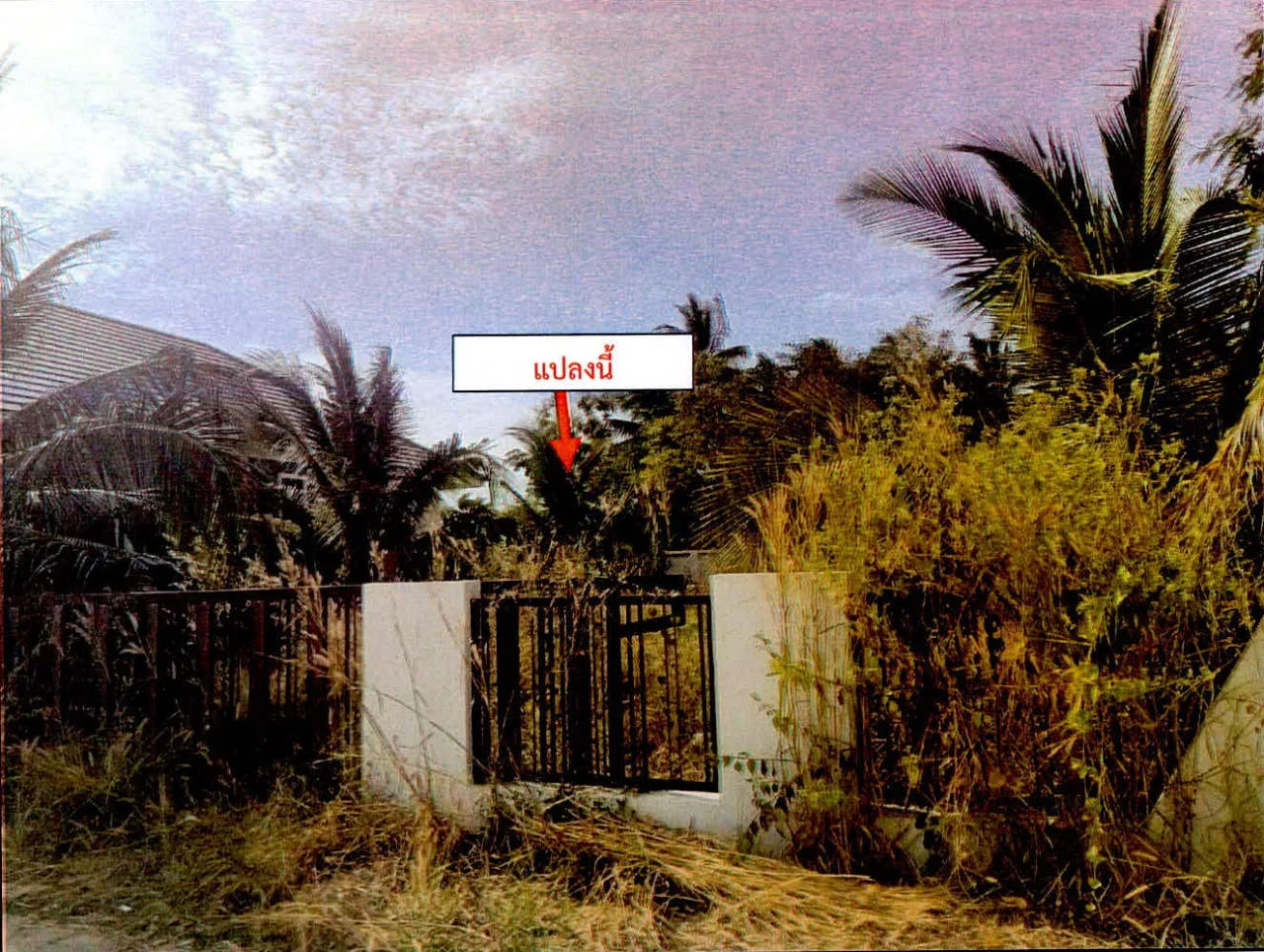 ขายทอดตลาด ที่ดินว่างเปล่า ต.นอกเมือง อ.เมืองสุรินทร์ จ.สุรินทร์