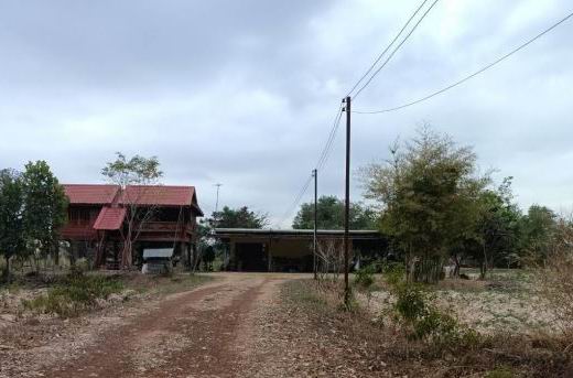ขายทอดตลาด ที่ดินพร้อมสิ่งปลูกสร้าง ต.โคกงาม อ.บ้านฝาง จ.ขอนแก่น