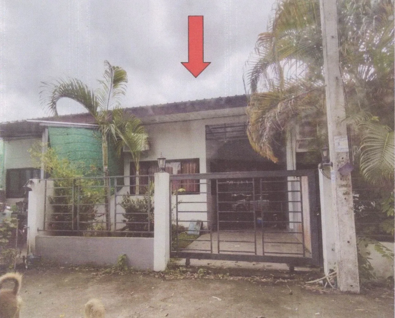 ขายทอดตลาด ที่ดินพร้อมสิ่งปลูกสร้าง ต.ทุ่งลาน อ.กิ่งอำเภอคลองหอยโข่ง จ.สงขลา