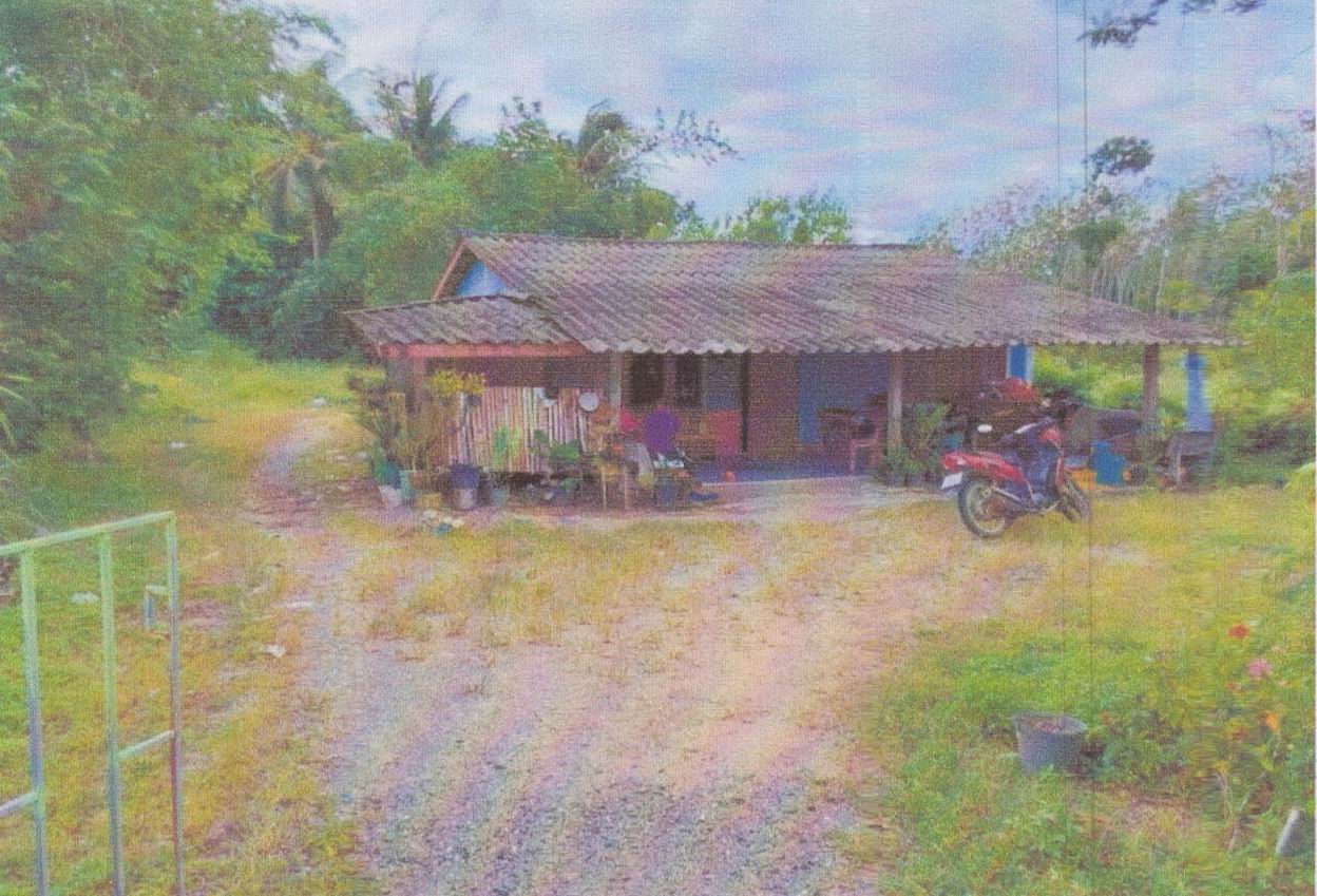 ขายทอดตลาด ที่ดินพร้อมสิ่งปลูกสร้าง ต.กำแพงเพชร อ.รัตภูมิ จ.สงขลา