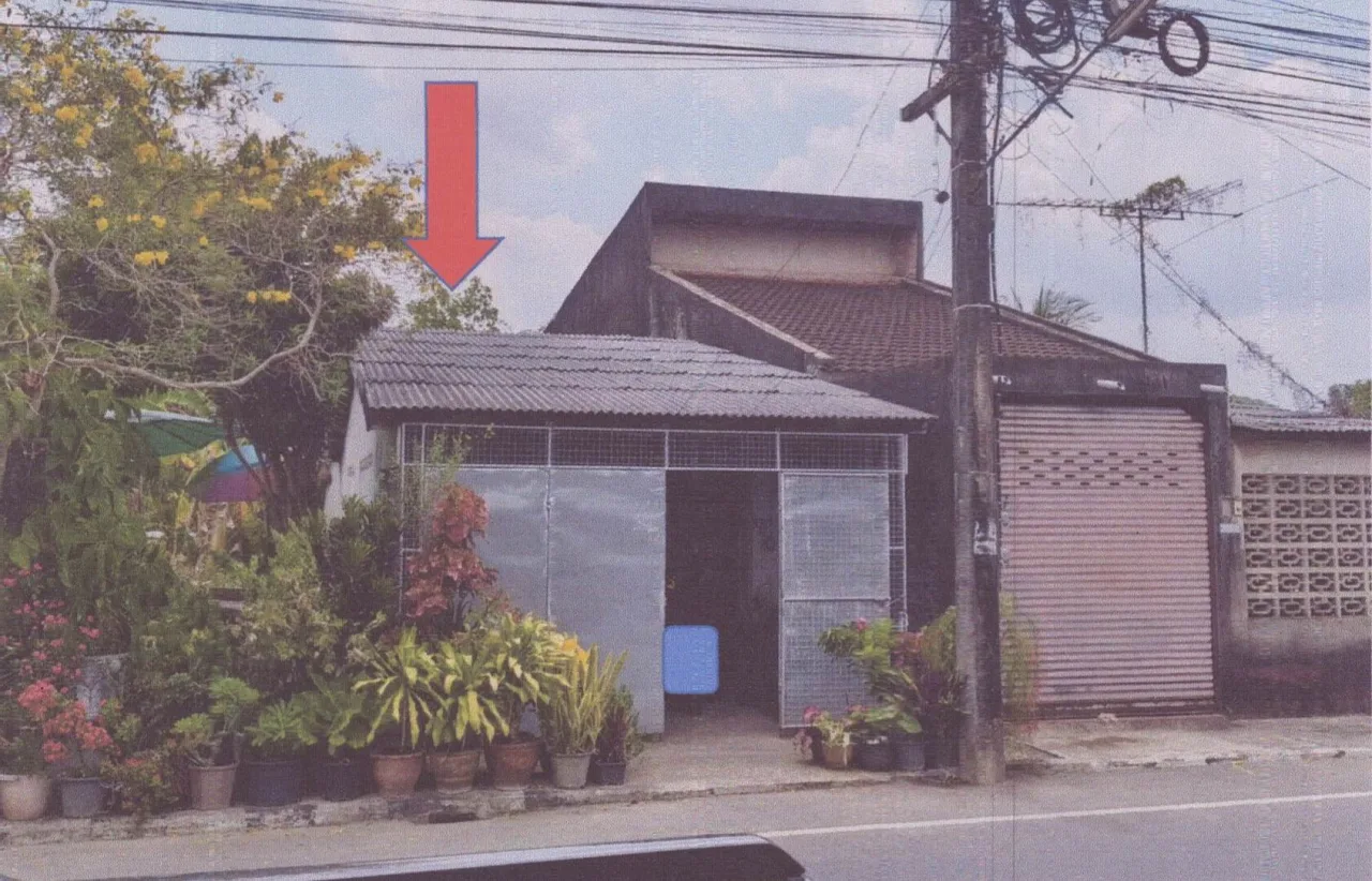 ขายทอดตลาด ที่ดินพร้อมสิ่งปลูกสร้าง ต.กำแพงเพชร อ.รัตภูมิ จ.สงขลา