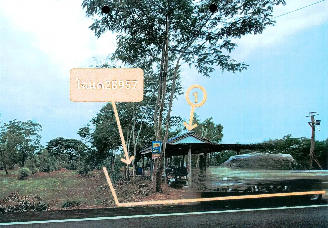 ขายทอดตลาด ที่ดินพร้อมสิ่งปลูกสร้าง ต.หนองขวาว อ.ศีขรภูมิ จ.สุรินทร์