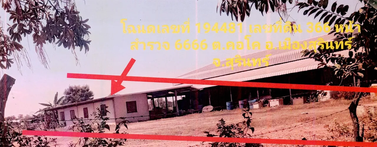 ขายทอดตลาด ที่ดินพร้อมสิ่งปลูกสร้าง ต.คอโค อ.เมืองสุรินทร์ จ.สุรินทร์