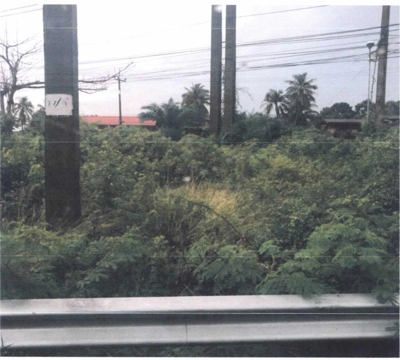 ขายทอดตลาด ที่ดินว่างเปล่า ต.ม่วงงาม อ.สิงหนคร จ.สงขลา