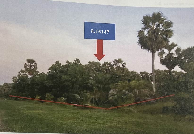 ขายทอดตลาด ที่ดินว่างเปล่า ต.คลองรี อ.สทิงพระ จ.สงขลา