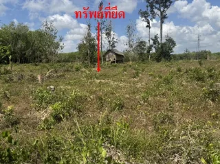 รูปทรัพย์ 2