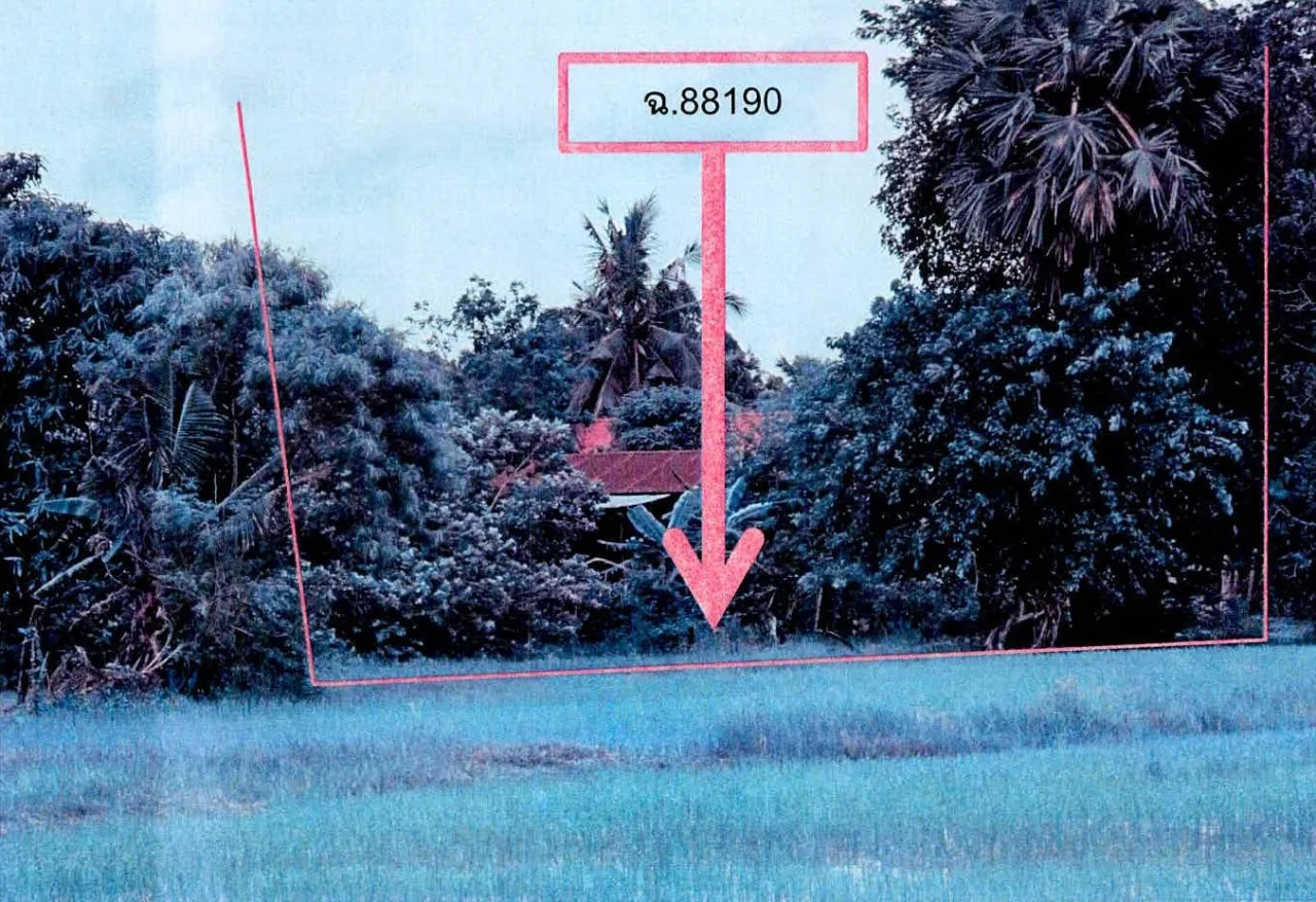 ขายทอดตลาด ที่ดินว่างเปล่า ต.ปราสาททอง อ.เมืองสุรินทร์ จ.สุรินทร์