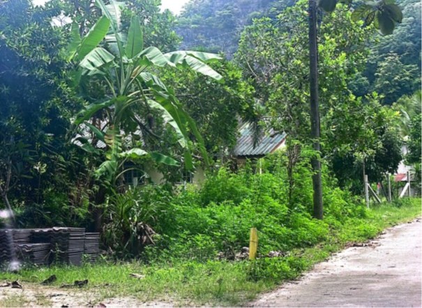 ขายทอดตลาด ที่ดินว่างเปล่า ต.คลองขุด อ.เมืองสตูล จ.สตูล