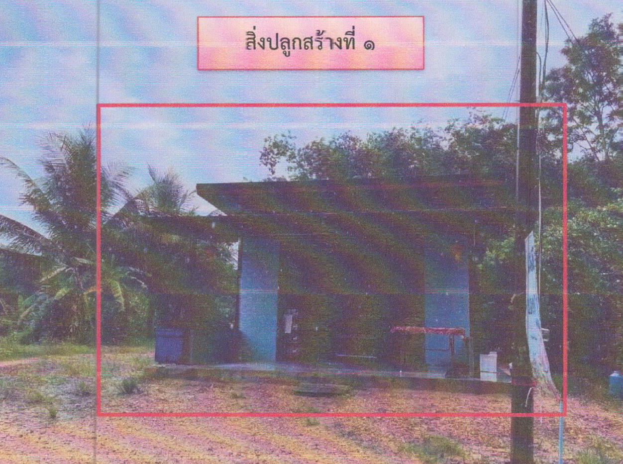 ขายทอดตลาด ที่ดินพร้อมสิ่งปลูกสร้าง ต.ทุ่งลาน อ.กิ่งอำเภอคลองหอยโข่ง จ.สงขลา