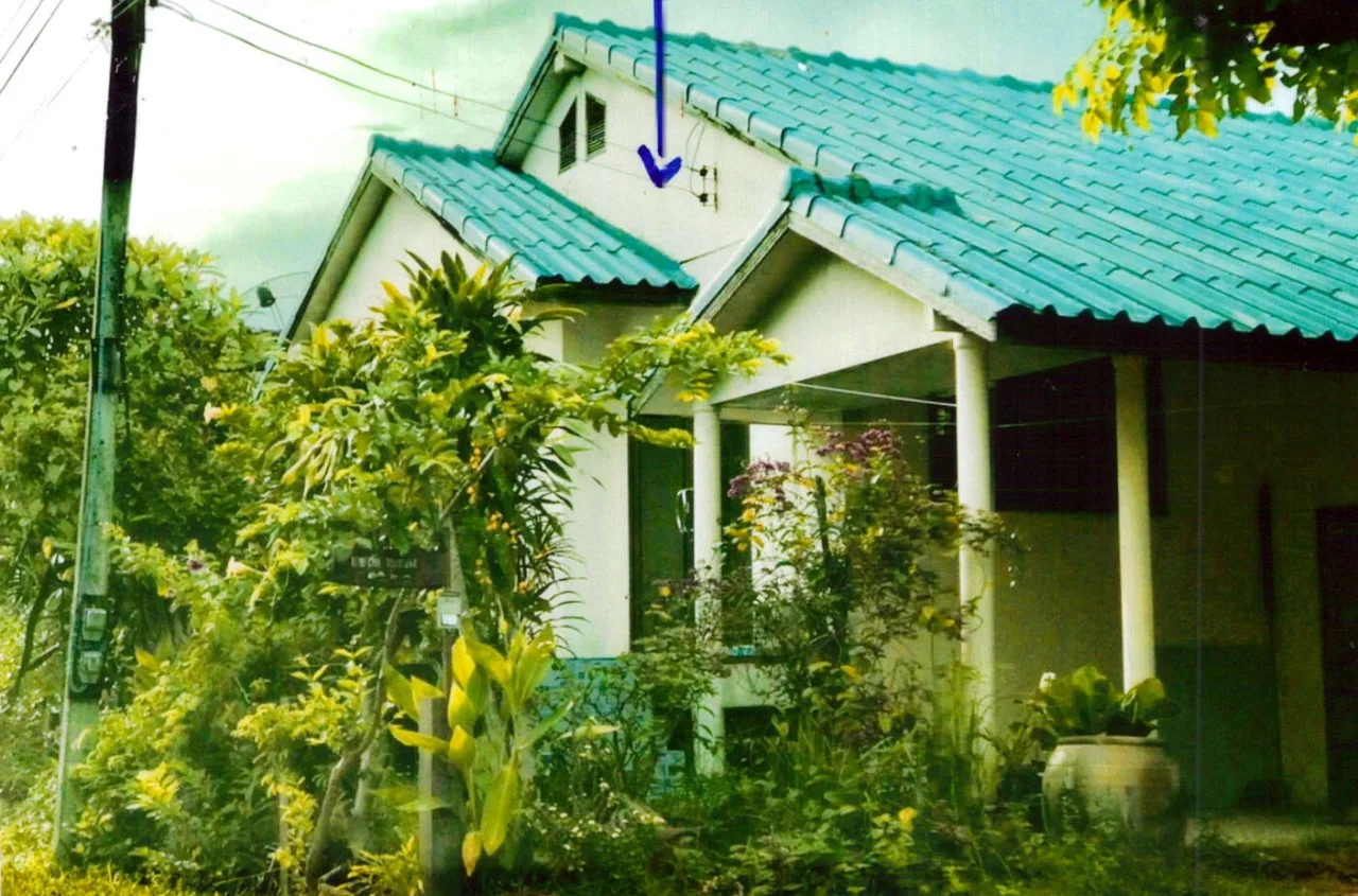 ขายทอดตลาด ที่ดินพร้อมสิ่งปลูกสร้าง ต.บ้านไทร อ.ปราสาท จ.สุรินทร์