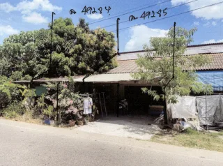 รูปทรัพย์ 2