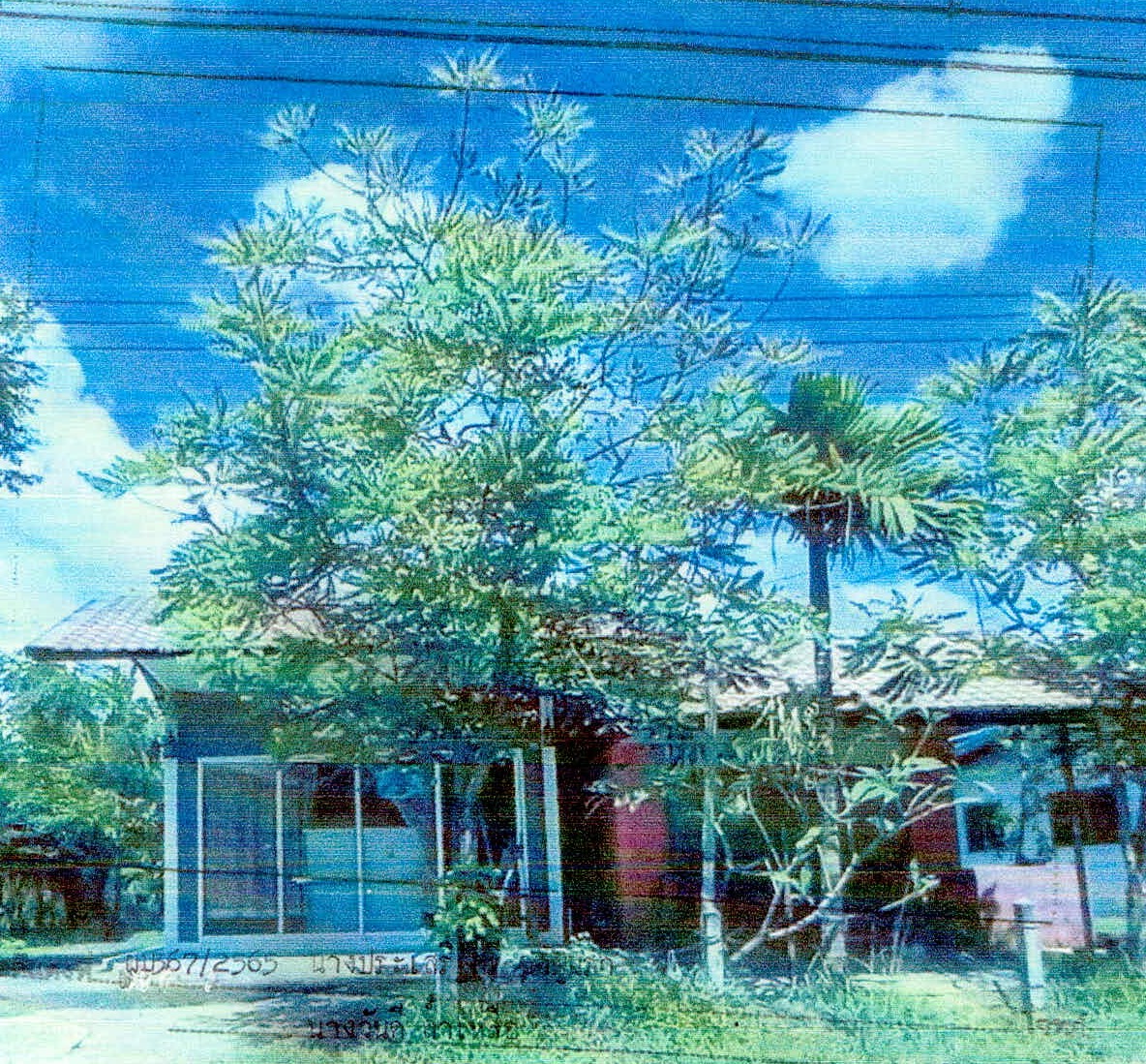 ขายทอดตลาด ที่ดินพร้อมสิ่งปลูกสร้าง ต.กังแอน อ.ปราสาท จ.สุรินทร์