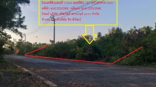รูปทรัพย์ 2