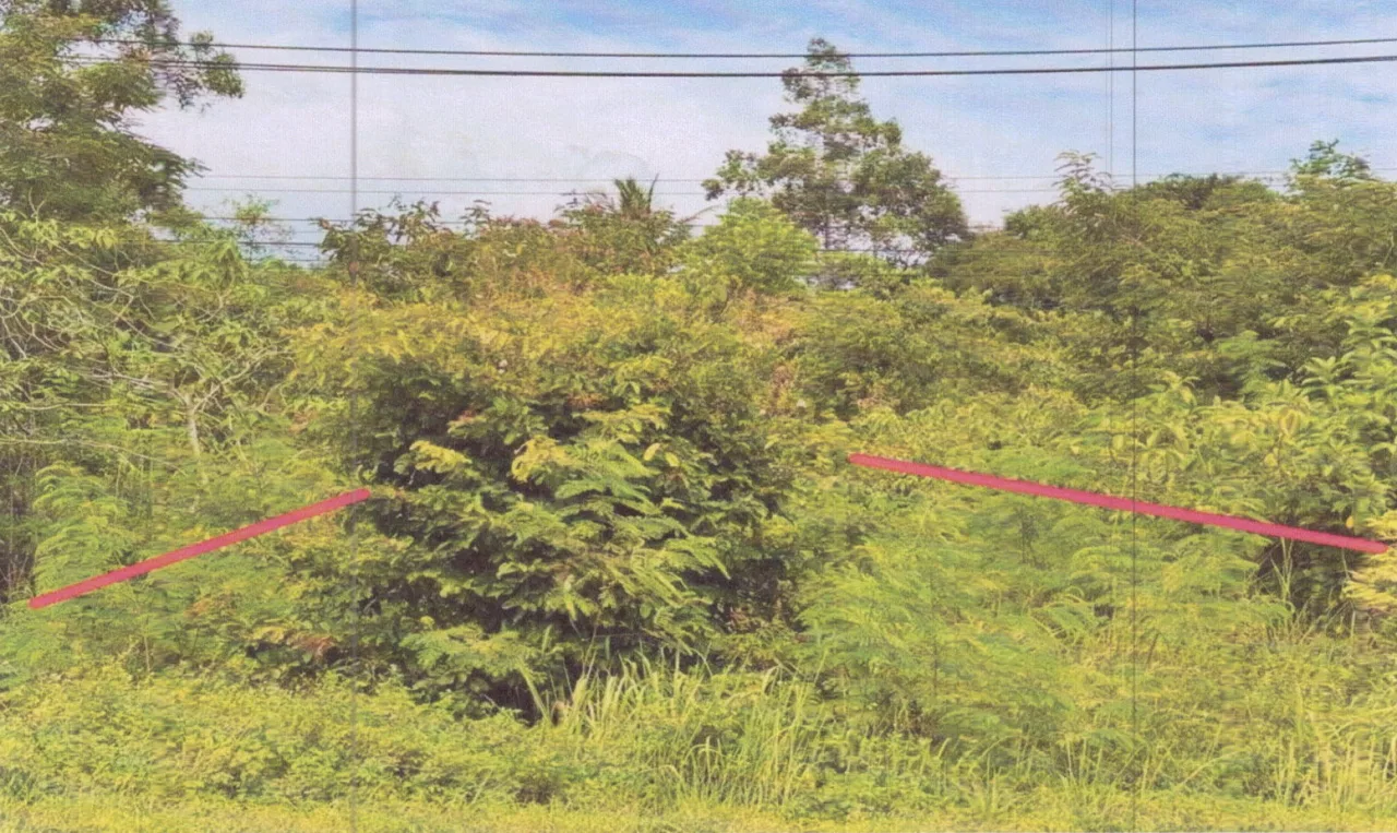 ขายทอดตลาด ที่ดินว่างเปล่า ต.กำแพงเพชร อ.รัตภูมิ จ.สงขลา
