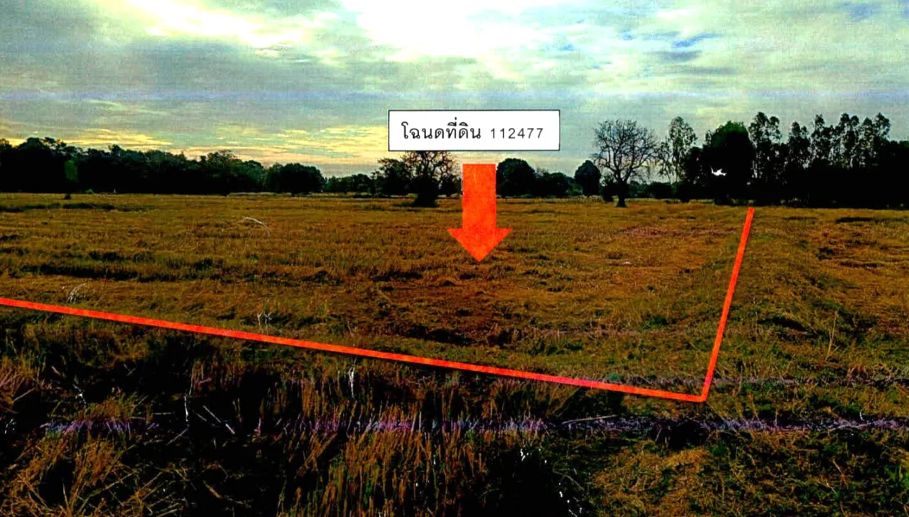 ขายทอดตลาด ที่ดินว่างเปล่า ต.นาดี อ.เมืองสุรินทร์ จ.สุรินทร์