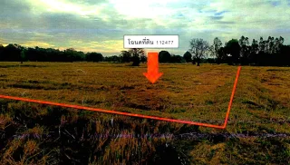 รูปทรัพย์ 1