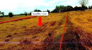 รูปทรัพย์ 2