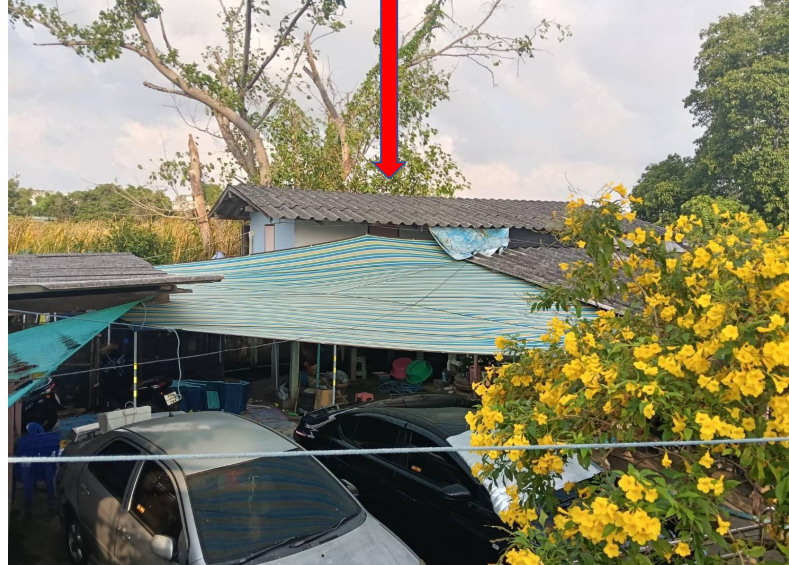 ขายทอดตลาด ที่ดินพร้อมสิ่งปลูกสร้าง ต.ปากน้ำ อ.เมืองสมุทรปราการ จ.สมุทรปราการ