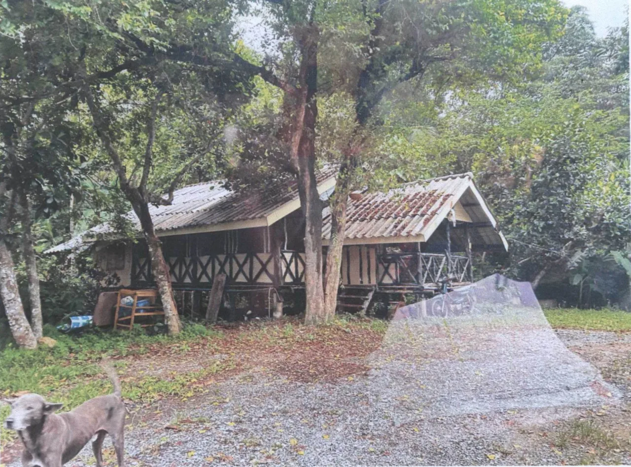 ขายทอดตลาด ที่ดินพร้อมสิ่งปลูกสร้าง ต.คลองขุด อ.เมืองสตูล จ.สตูล