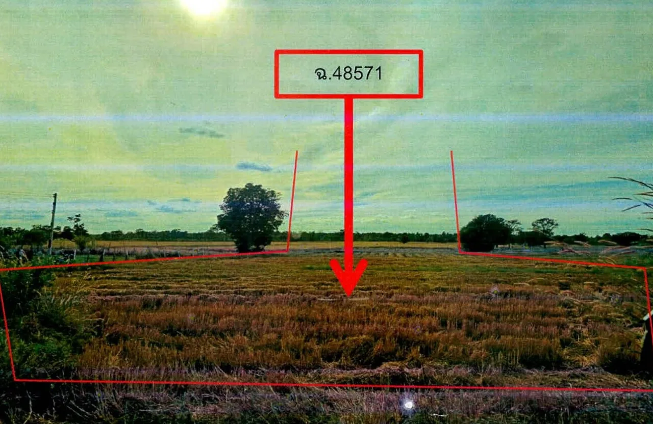 ขายทอดตลาด ที่ดินว่างเปล่า ต.โคกยาง อ.ปราสาท จ.สุรินทร์