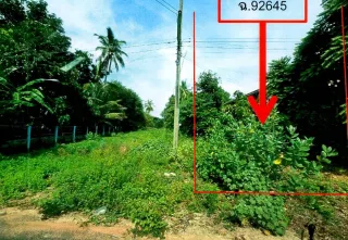 รูปทรัพย์ 2