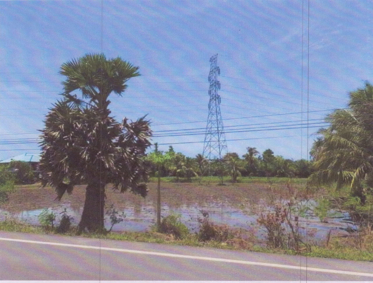 ขายทอดตลาด ที่ดินว่างเปล่า ต.ตะเครียะ อ.ระโนด จ.สงขลา