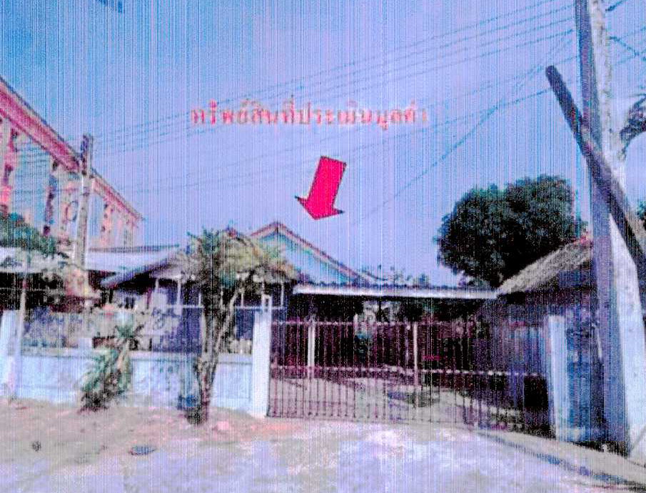ขายทอดตลาด ที่ดินพร้อมสิ่งปลูกสร้าง ต.หนองตำลึง อ.พานทอง จ.ชลบุรี