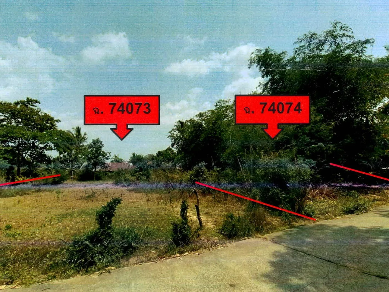 ขายทอดตลาด ที่ดินว่างเปล่า จ.ระยอง