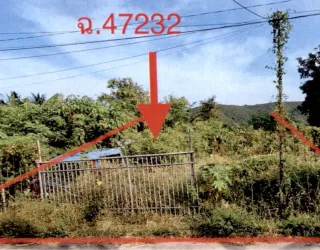 รูปทรัพย์ 1