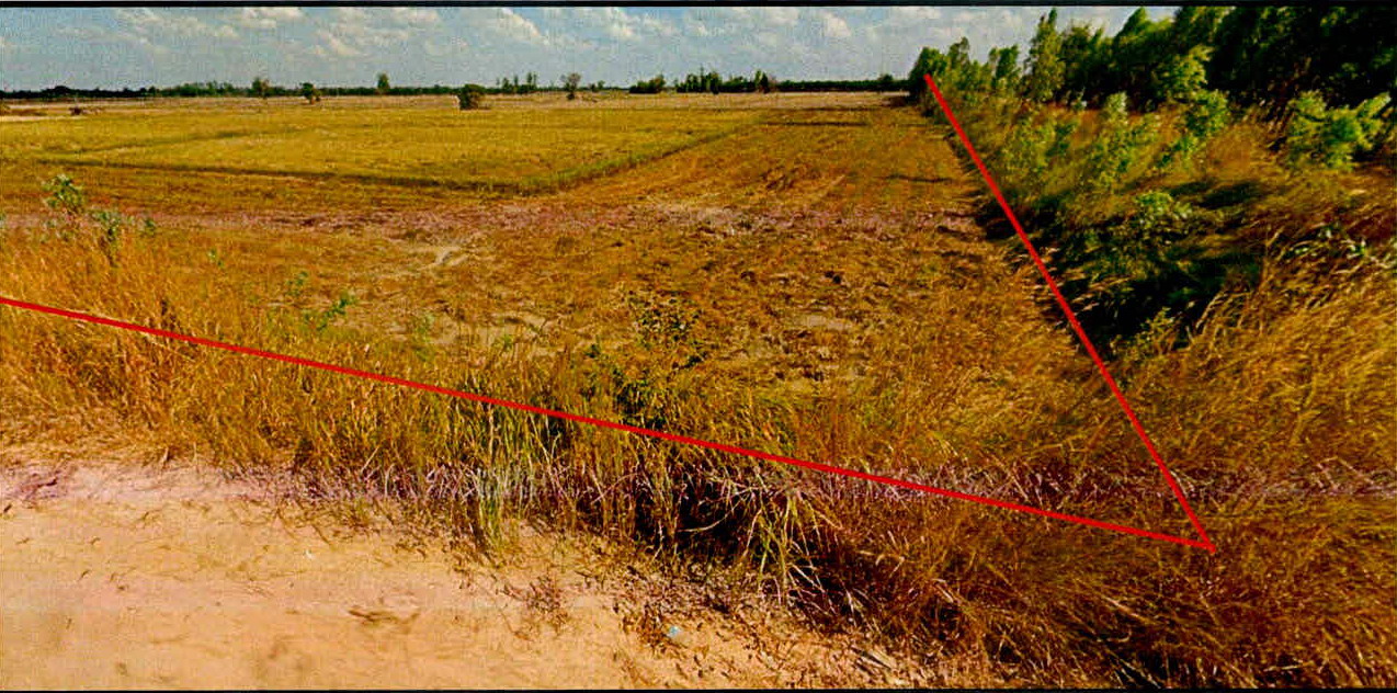 ขายทอดตลาด ที่ดินว่างเปล่า ต.ตรึม อ.ศีขรภูมิ จ.สุรินทร์