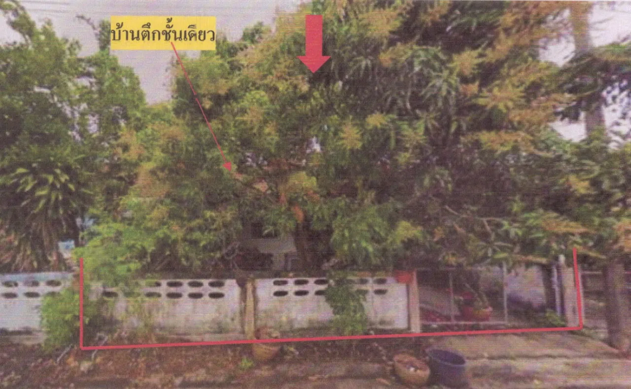 ขายทอดตลาด ที่ดินพร้อมสิ่งปลูกสร้าง ต.ปากแตระ อ.ระโนด จ.สงขลา
