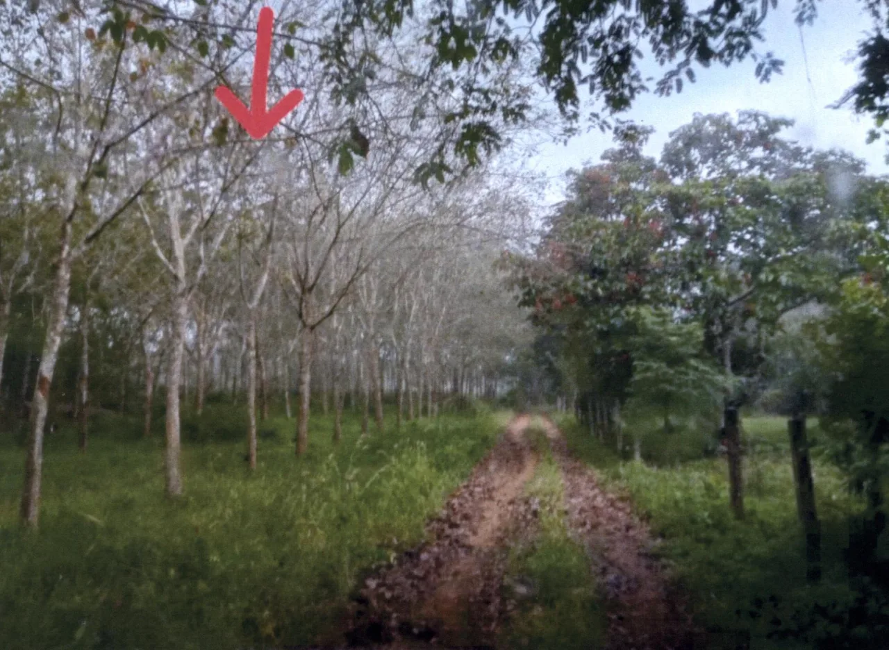 ขายทอดตลาด ที่ดินว่างเปล่า จ.ลำปาง