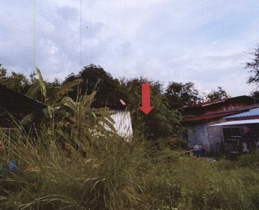 ขายทอดตลาด ที่ดินว่างเปล่า ต.หนองไข่น้ำ อ.หนองแค จ.สระบุรี