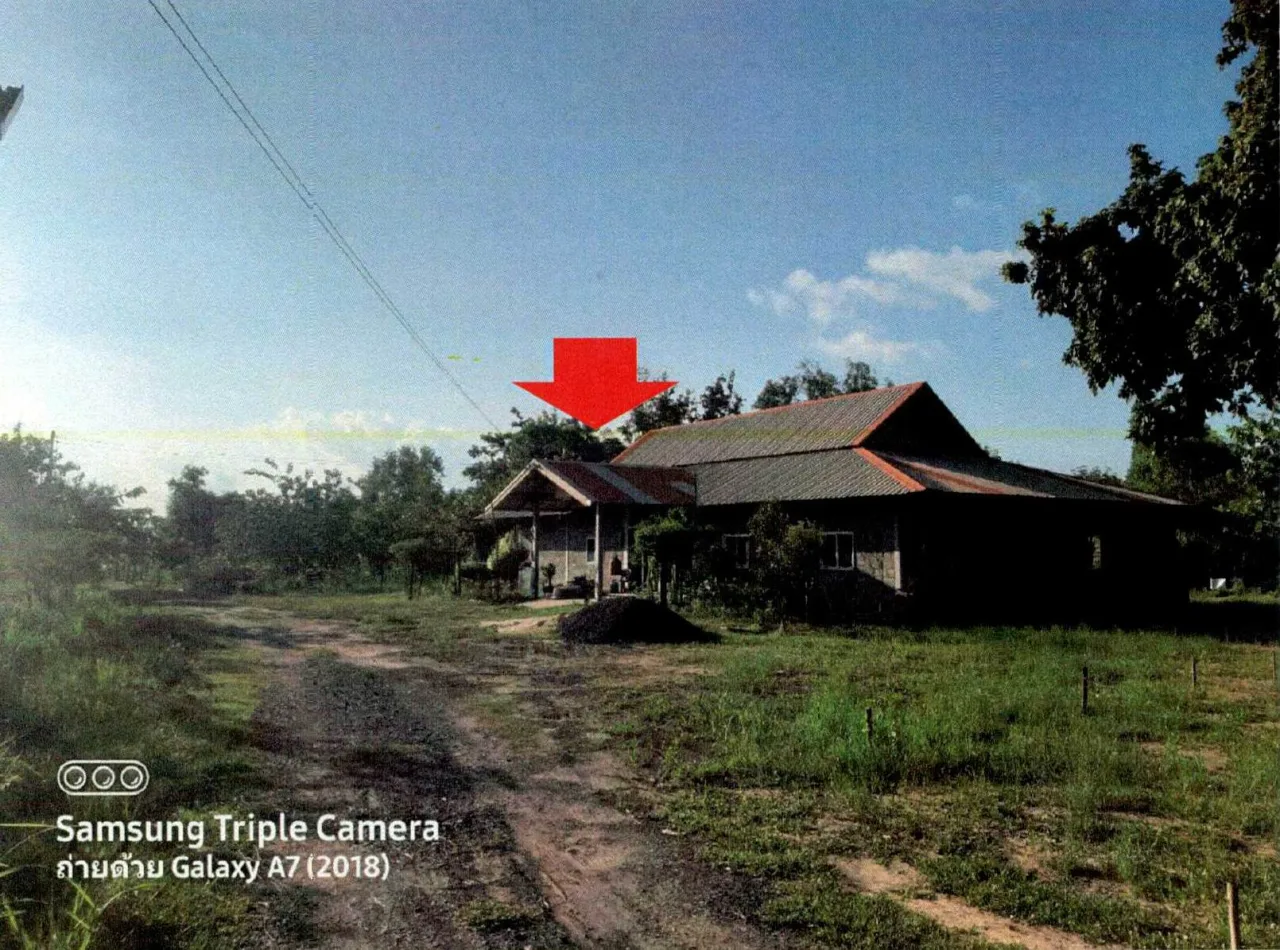 ขายทอดตลาด ที่ดินพร้อมสิ่งปลูกสร้าง ต.คาละแมะ อ.ศีขรภูมิ จ.สุรินทร์