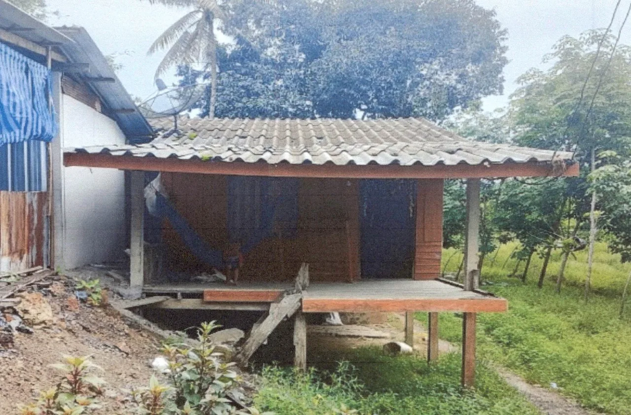 ขายทอดตลาด ที่ดินพร้อมสิ่งปลูกสร้าง ต.เขาขาว อ.ละงู จ.สตูล