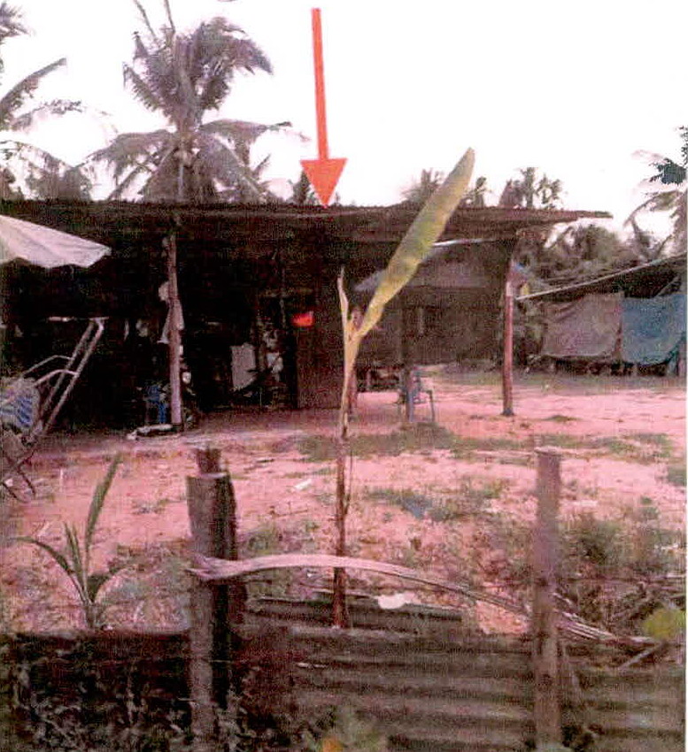 ขายทอดตลาด ที่ดินพร้อมสิ่งปลูกสร้าง ต.ตาเบา อ.ปราสาท จ.สุรินทร์