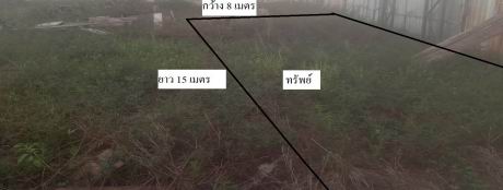 ขายทอดตลาด ที่ดินว่างเปล่า ต.ท่าทราย อ.เมืองสมุทรสาคร จ.สมุทรสาคร