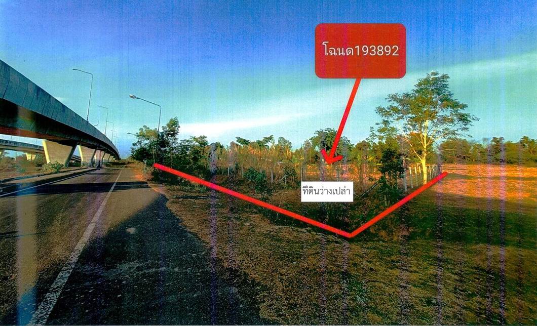 ขายทอดตลาด ที่ดินว่างเปล่า ต.คอโค อ.เมืองสุรินทร์ จ.สุรินทร์