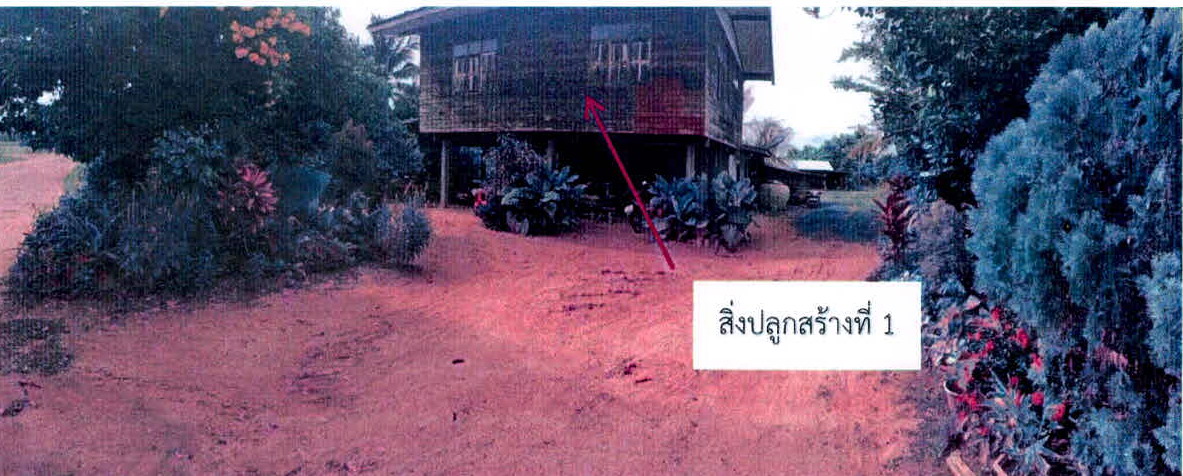 ขายทอดตลาด ที่ดินพร้อมสิ่งปลูกสร้าง ต.แนงมุด อ.กาบเชิง จ.สุรินทร์