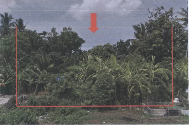 ขายทอดตลาด ที่ดินว่างเปล่า ต.เจ๊ะบิลัง อ.เมืองสตูล จ.สตูล